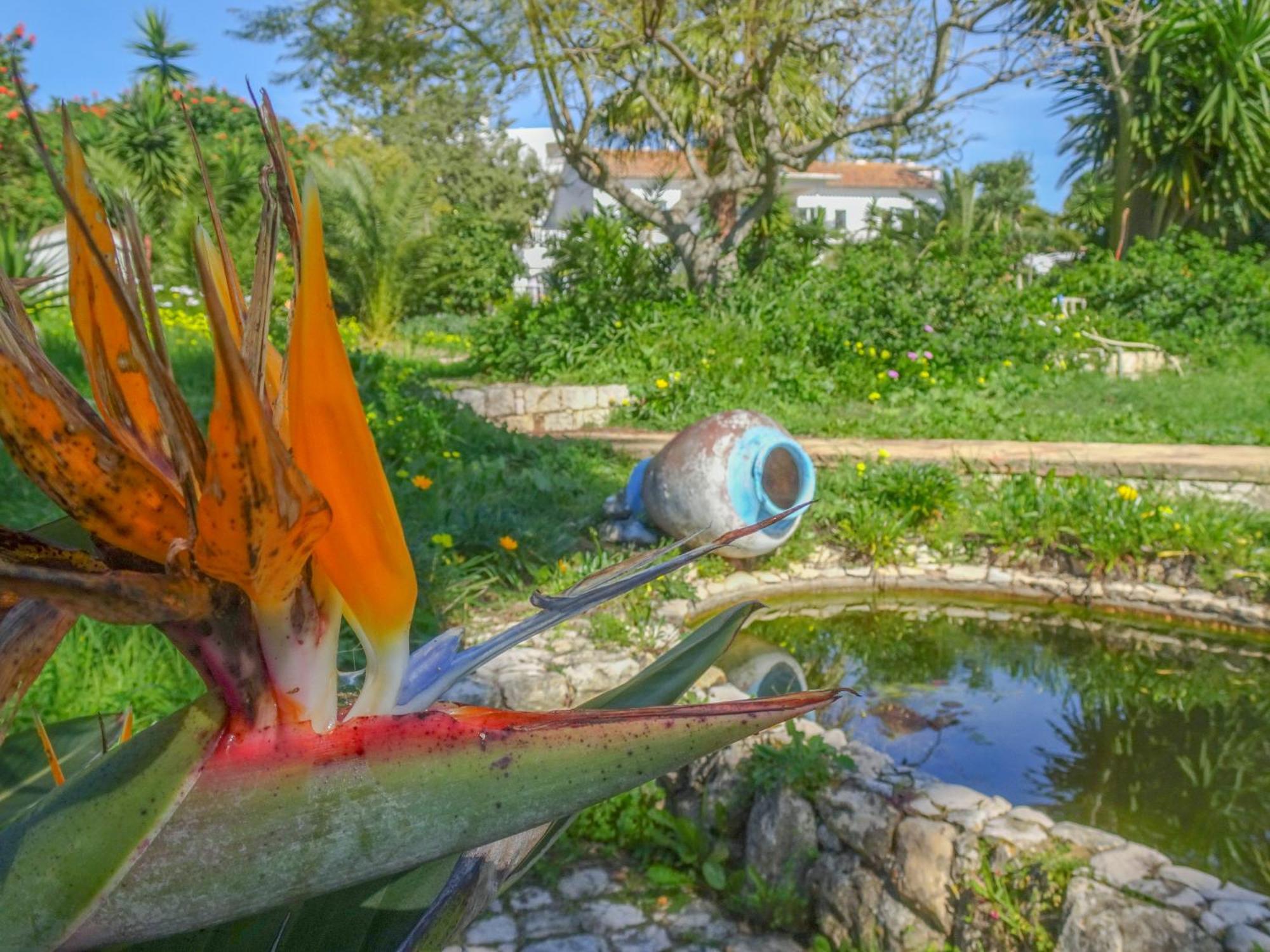 Quinta De Lagos Kültér fotó